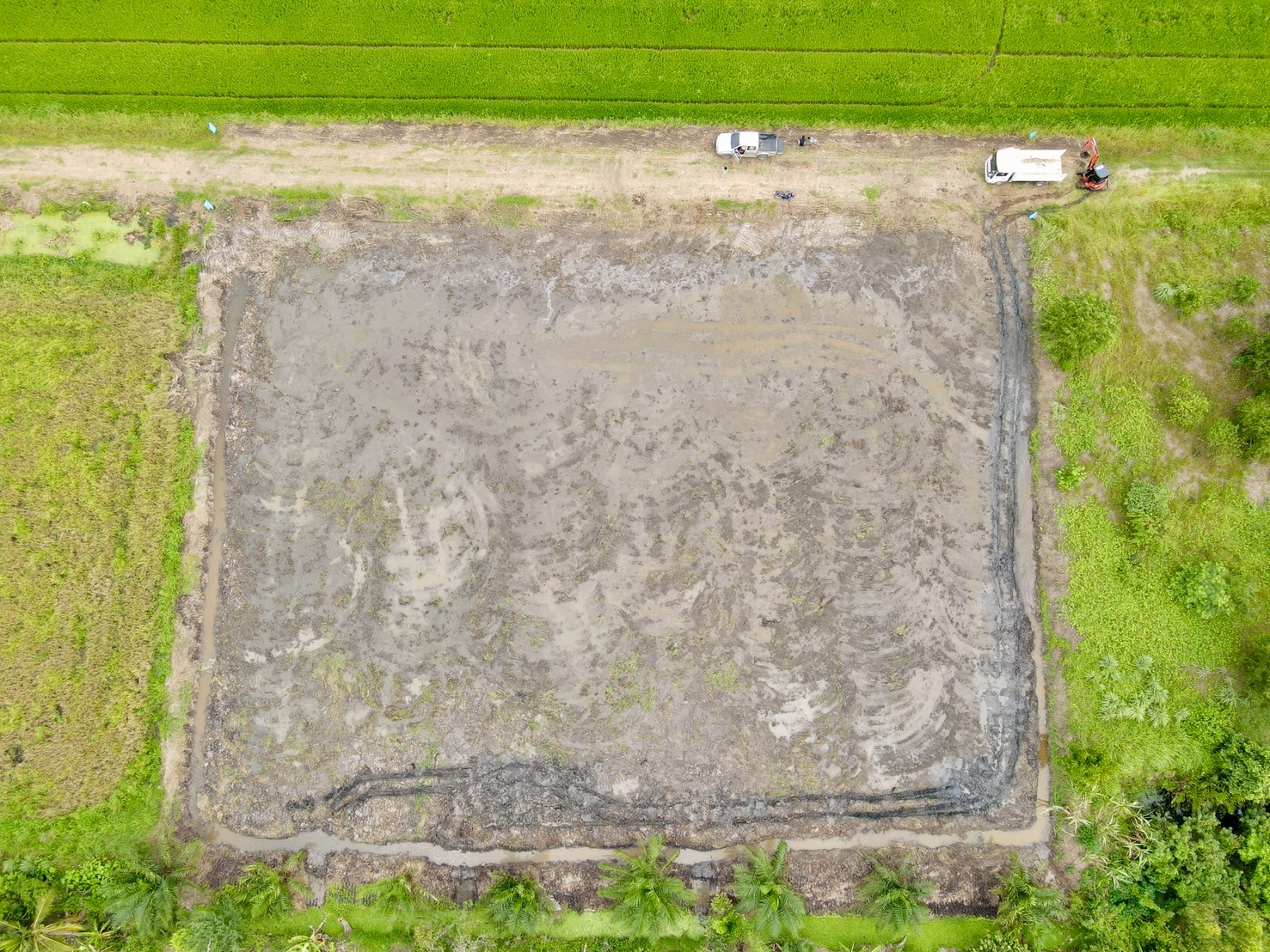 "ที่ดินในฝัน ใกล้เมือง 🌿 1 ไร่ – คลอง 8 หนองเสือ จ.ปทุมธานี"