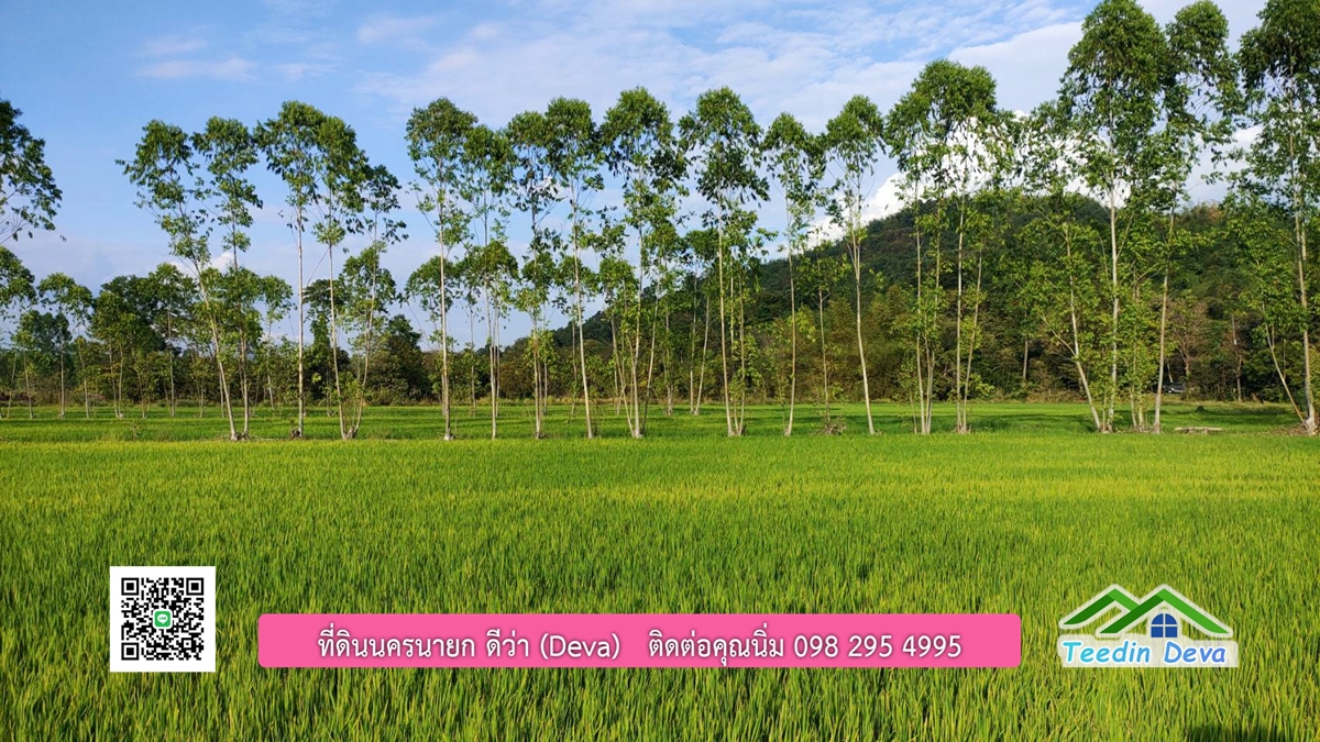 ขายที่วิวภูเขา 3 ไร่ ครุฑแดง อยู่ติดกับที่ดินของ ดาราคนดัง ต.เขาเพิ่ม อ.บ้านนา จ.นครนายก