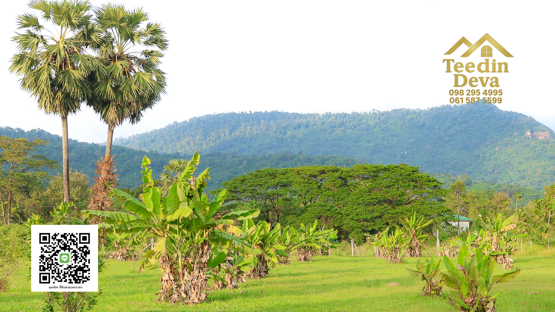🌿 เริ่มต้นความสุขเล็ก ๆ ด้วยที่ดินแปลงสวย วิวเขา กลางธรรมชาติ ต.สาริกา อ.เมือง จ.นครนายก 💚