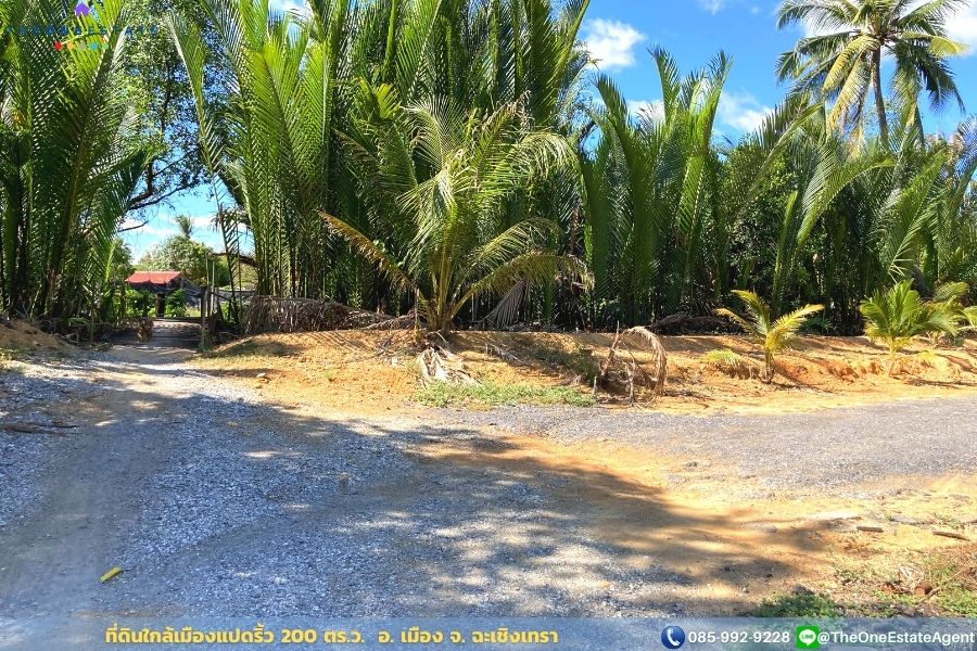 📣 ขายด่วน! ที่ดินเมืองแปดริ้วบรรยากาศสวน 200 ตรว. บรรยากาศดีมาก เหมาะทั้งทำการเกษตร สร้างบ้านอาศัย ต.บางตีนเป็ด อ.เมือง จ.ฉะเชิงเทรา The Best ! | โทร. 085-992-9228