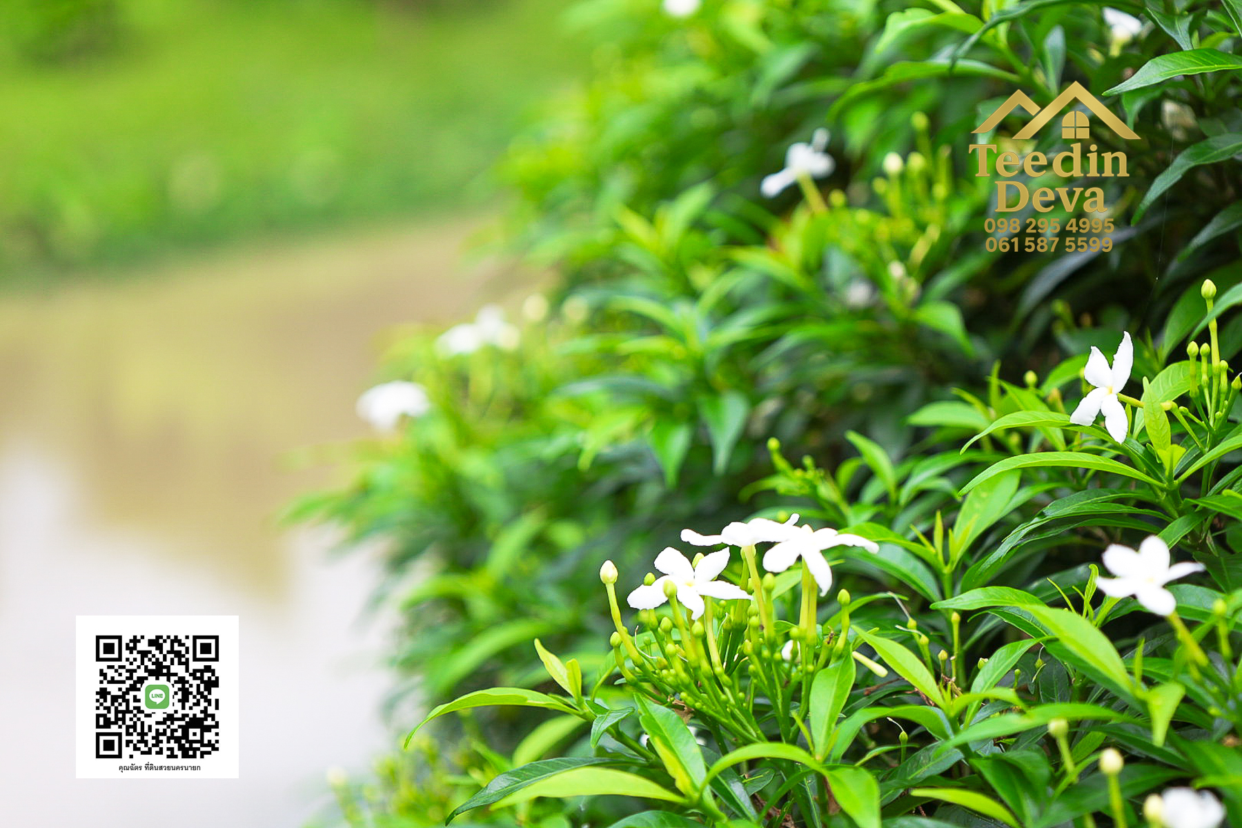 ที่ดินนครนายก วิวภูเขา ติดลำธาร ใกล้เขาใหญ่ ขนาด 1 ไร่ ทำเลดี ต.นาหินลาด อ.ปากพลี จ.นครนายก