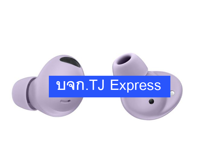 Bluetooth Earbuds SAMSUNG Galaxy Buds 2 Pro (R510NLVAASA) Purple