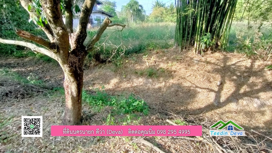 ขายสวนมะยงชิดพันธุ์ทูลเกล้า ขนาด 7 ไร่ ทำเลดีเยี่ยม ติดถนนลาดยาง ต.เขาเพิ่ม อ.บ้านนา จ.นครนายก