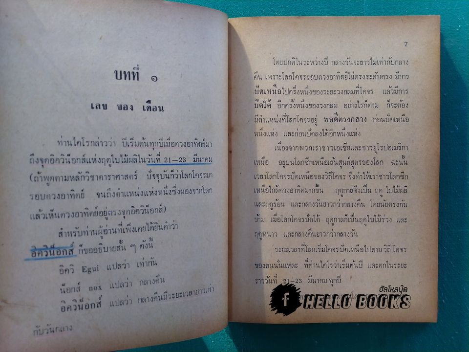 เลขโชค ของไคโร