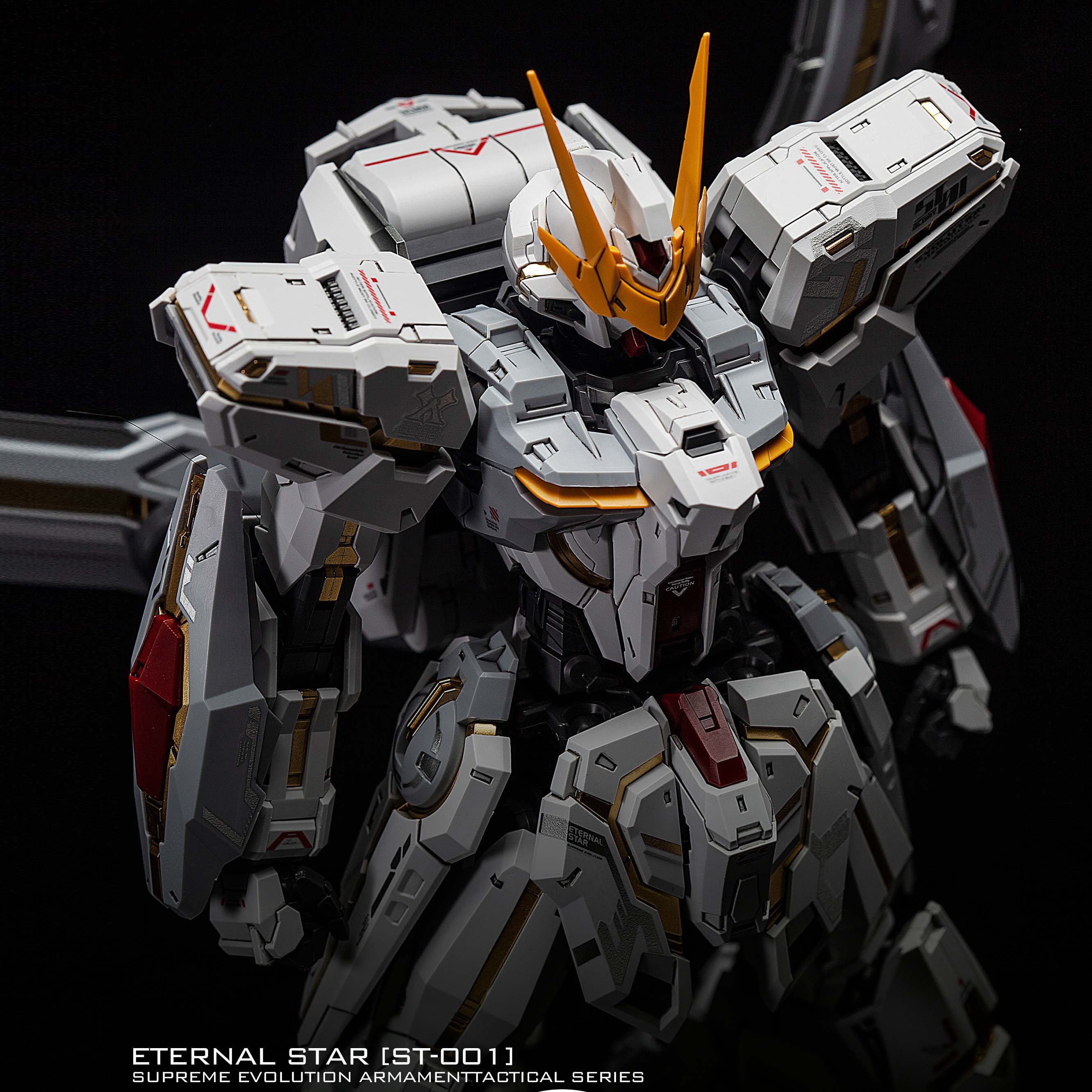 (MG) 1/100 ETERNAL STAR GLORY STARGAZER