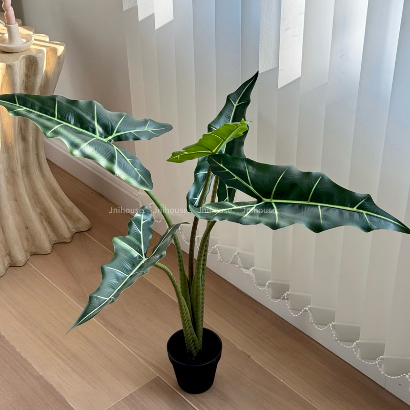 [พร้อมส่ง] Jnihouse : ต้นไม้ประดิษฐ์อโลคาเซีย หูช้าง (Artificial Alocasia Sarian Potted)(Tree)