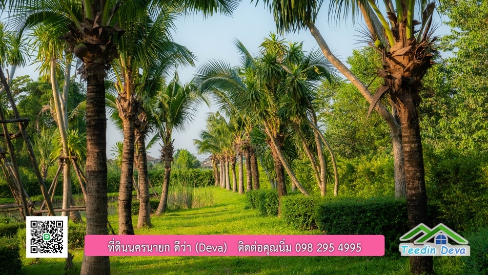 ขายบ้าน ทำเลธุรกิจ สามารถประยุกต์เป็นร้านอาหาร และคาเฟ่