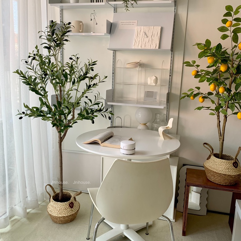 [พร้อมส่ง] Jnihouse : ตะกร้าสานหวาย ตะกร้าใส่ต้นไม้ (ทูโทน)