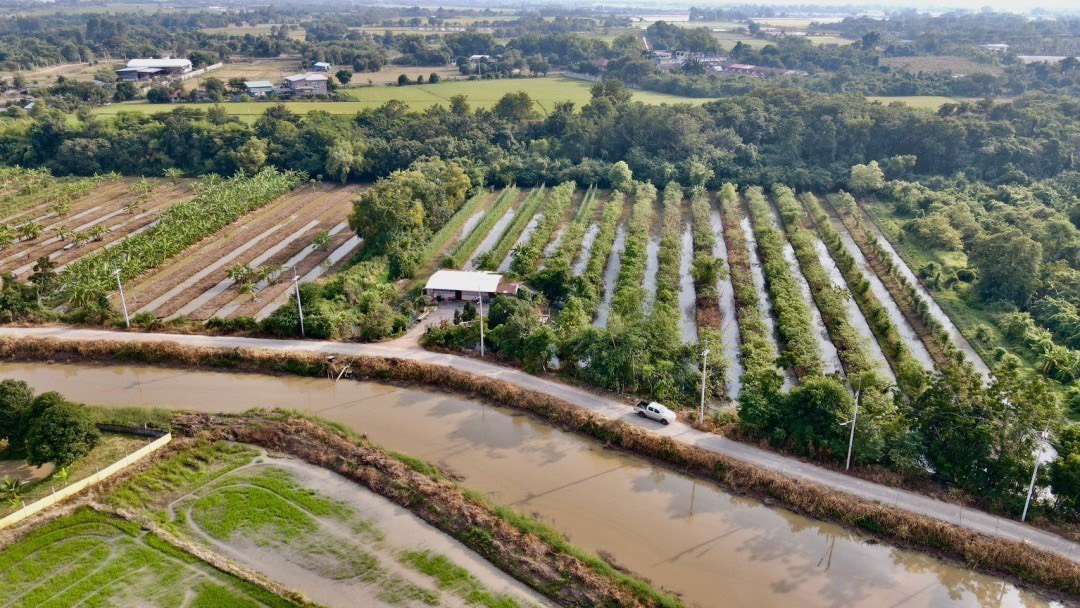 🔥 ที่ดินสวย ทำเลดี ที่ดินเชิงเกษตร ต.หนองจระเข้ อ.หนองแค จ.สระบุรี