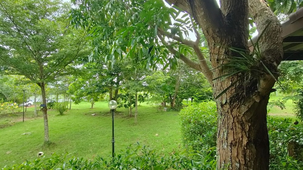 ขายบ้านสวน กลางนา วิวเขาใหญ่ ต.สาริกา อ.เมือง จ.นครนายก