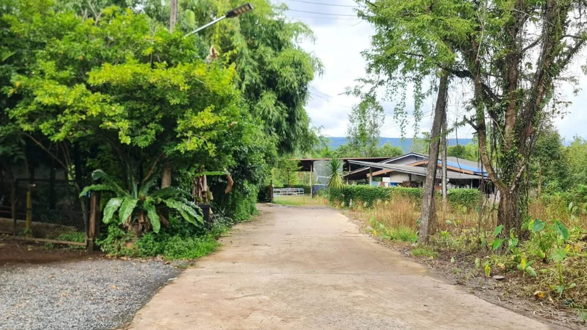 🌿 บ้านสวนเชินเขา 1 ไร่ 1 งาน วิวสวย ต.นาหินลาด อ.ปากพลี จ.นครนายก 🌿