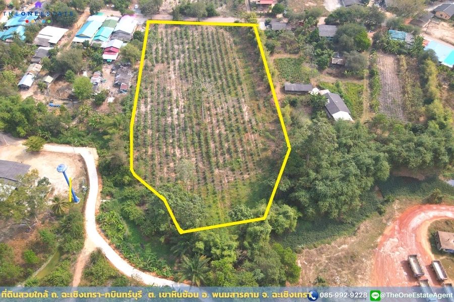 📣 ที่ดินสวยพร้อมทำกำไรดีกว่าฝากแบงค์ ปลูกต้นยูคาฯ ตอ2 กำลังโต พร้อมเก็บเกี่ยว ใกล้ ถ. ฉะเชิงเทรา-กบินทร์บุรี น้ำ-ไฟฟ้าเข้าถึงเรียบร้อย เดินทางเข้าออกสะดวก ต. เขาหินซ้อน อ. พนมสารคาม จ. ฉะเชิงเทรา The Best ! | โทร. 085-992-9228