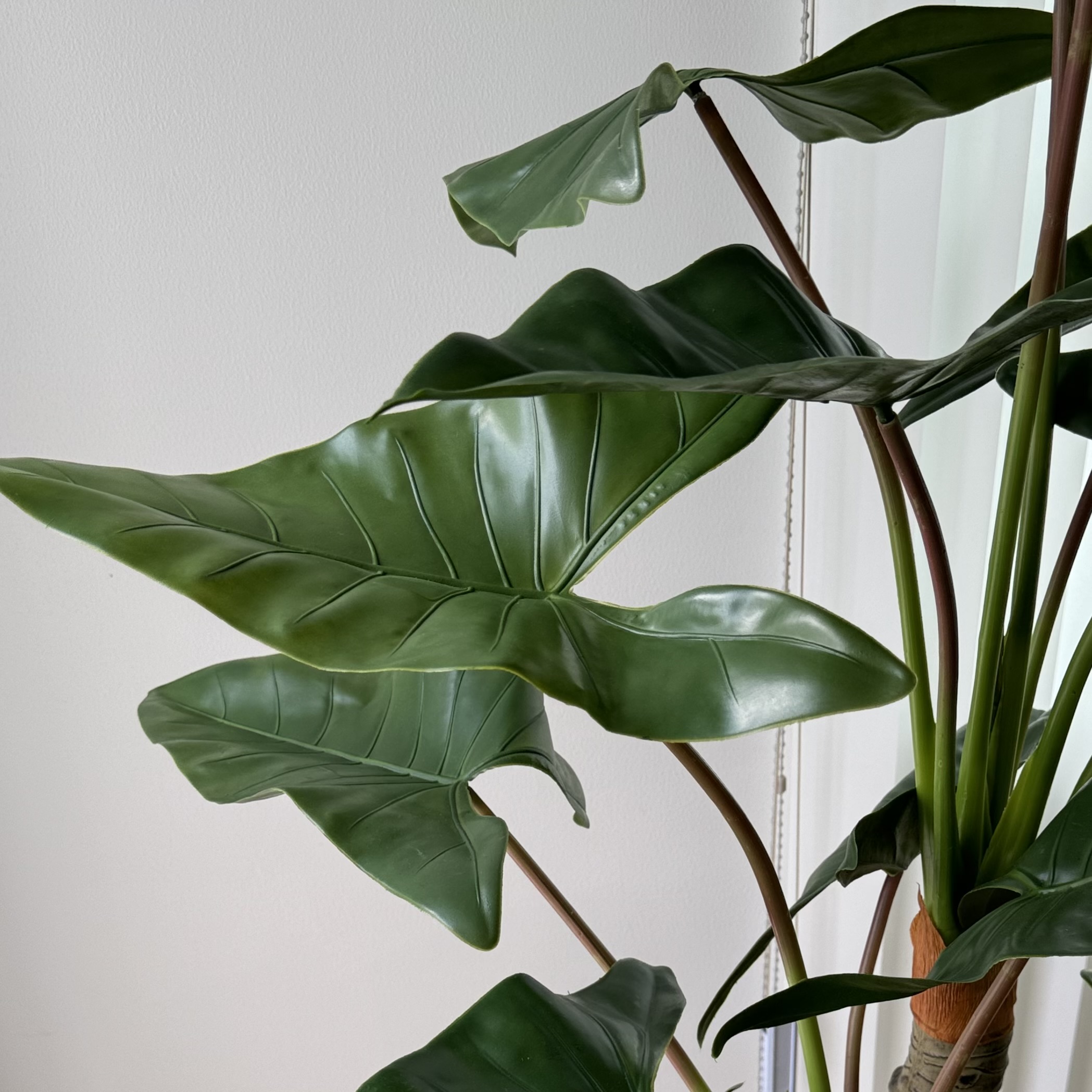 [พร้อมส่ง] Jnihouse : ต้นฟิโลเดนดรอน ก้านส้ม (ต้นไม้ประดิษฐ์)(Tree)