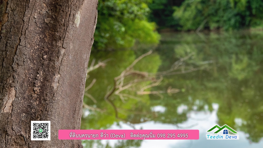 ที่ดินนครนายก ติดแม่น้ำ 14 ไร่ พื้นที่ติดแม่น้ำ 400 เมตร ชมลำธารสวยๆ บรรยากาศสบายๆ ต.สาริกา อ.เมือง จ.นครนายก