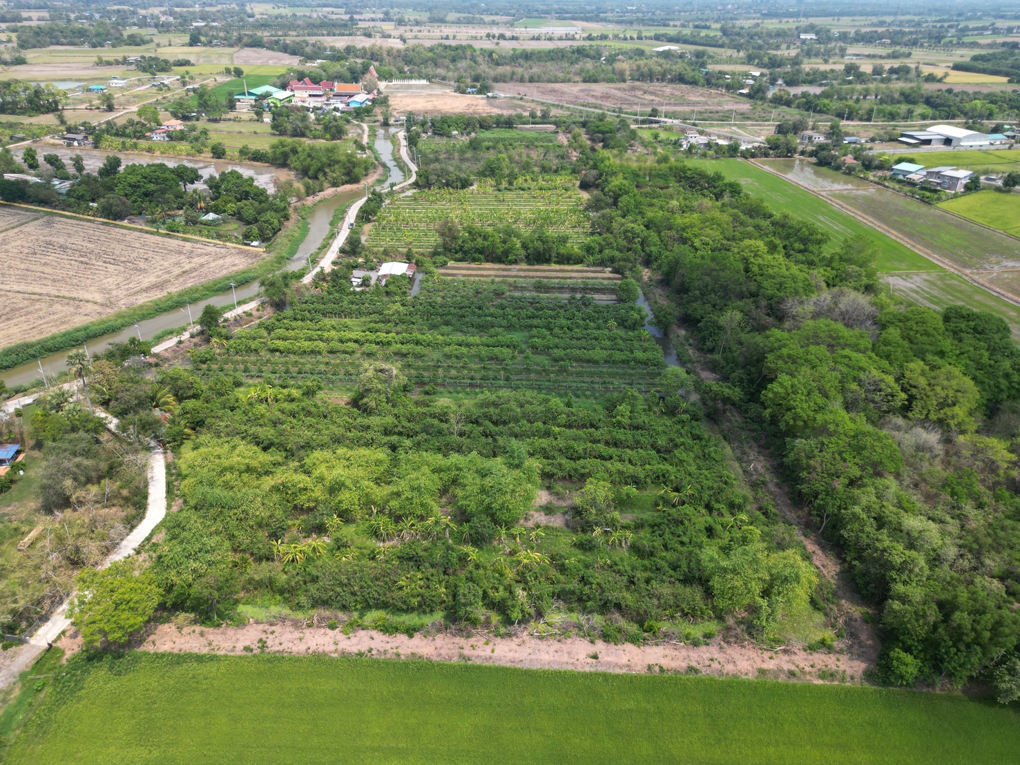 🔥 ที่ดินสวย ทำเลดี ที่ดินเชิงเกษตร ต.หนองจระเข้ อ.หนองแค จ.สระบุรี