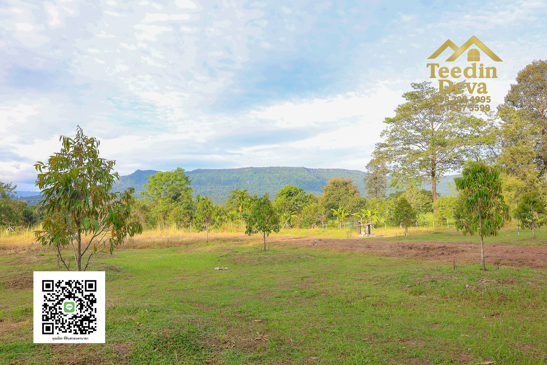 💭 ตื่นเช้าลมเย็น เห็นเขาใหญ่ตรงหน้า... ที่ดินสวนผลไม้ 2 ไร่ 3 งาน ต.นาหินลาด อ.ปากพลี จ.นครนายก