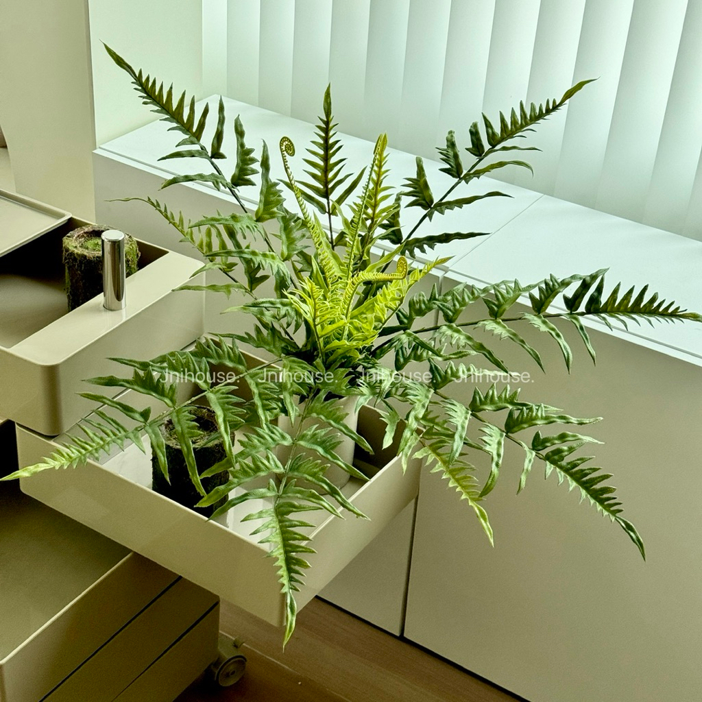 [พร้อมส่ง] Jnihouse : กิ่งเฟิร์นประดิษฐ์ (มีหน่อ)