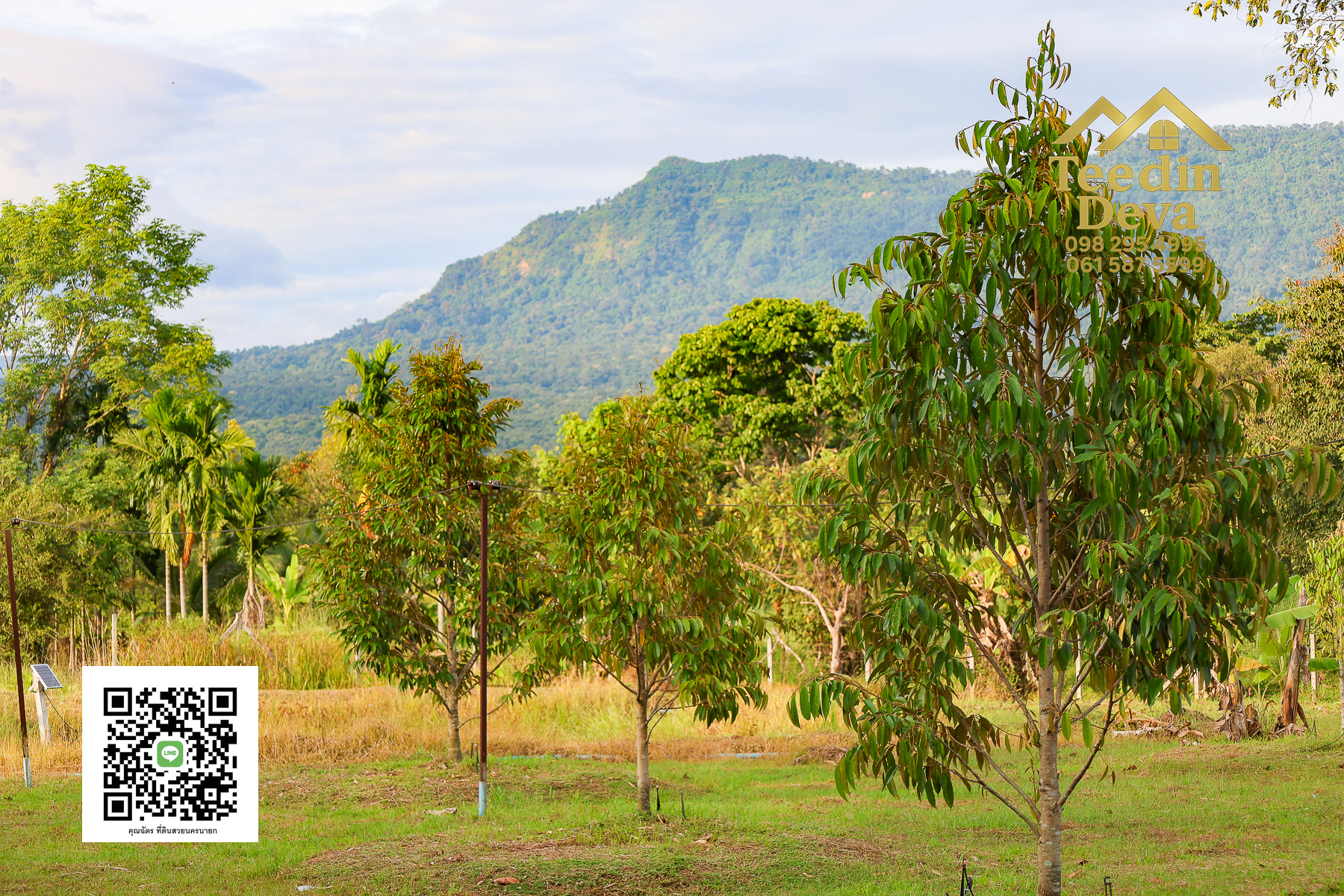 💭 ตื่นเช้าลมเย็น เห็นเขาใหญ่ตรงหน้า... ที่ดินสวนผลไม้ 2 ไร่ 3 งาน ต.นาหินลาด อ.ปากพลี จ.นครนายก