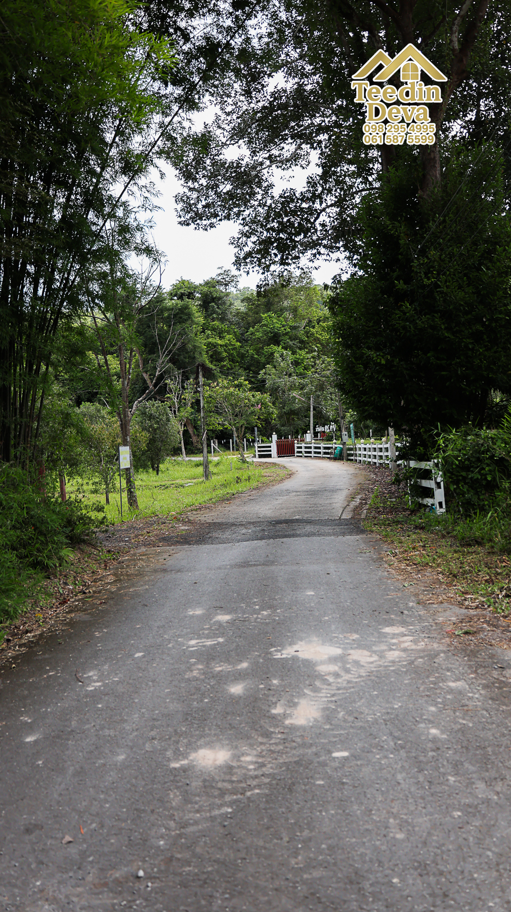 🏞️ “ผืนธรรมชาติกลางหุบเขา” 12 ไร่ 2 งาน 93.3 ตร.วา – ต.สาริกา อ.เมือง จ.นครนายก 🌳