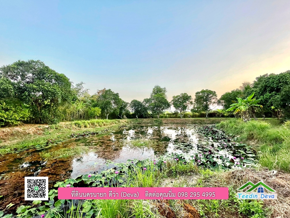 ขายบ้านสวน เนื้อที่ 6 ไร่ ต.ดงละคร อ.เมือง จ.นครนายก เอกสารสิทธิ: โฉนดครุฑแดง พร้อมโอน