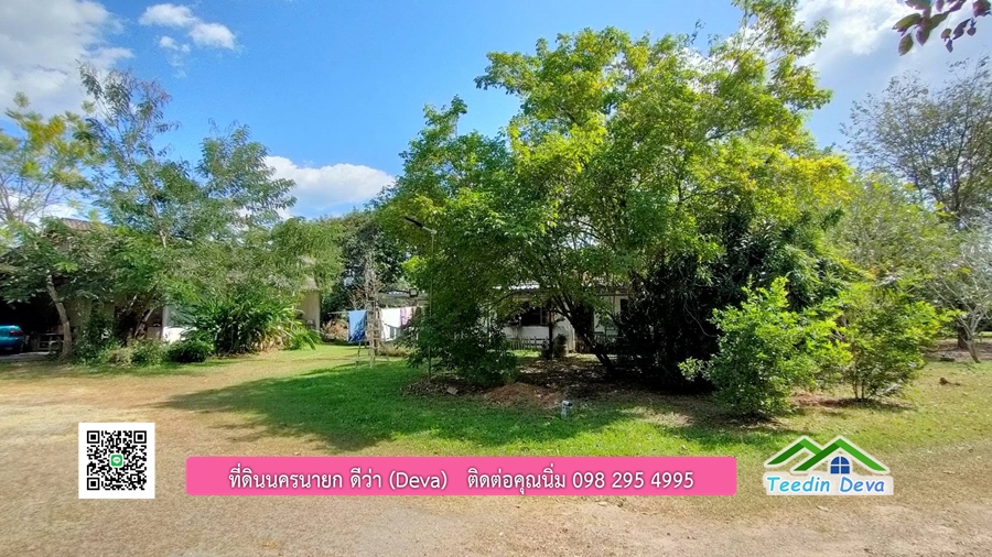 บ้านสวนผลไม้ ใกล้กับแหล่งท่องเที่ยว เจ้าของปลูกมะยงชิด ส้มโอ ต้นกฤษณา 20 ไร่ อยู่ติดถนนสายท่องเที่ยว สาริกา-นางรอง ต.สาริกา อ.เมือง จ.นครนายก