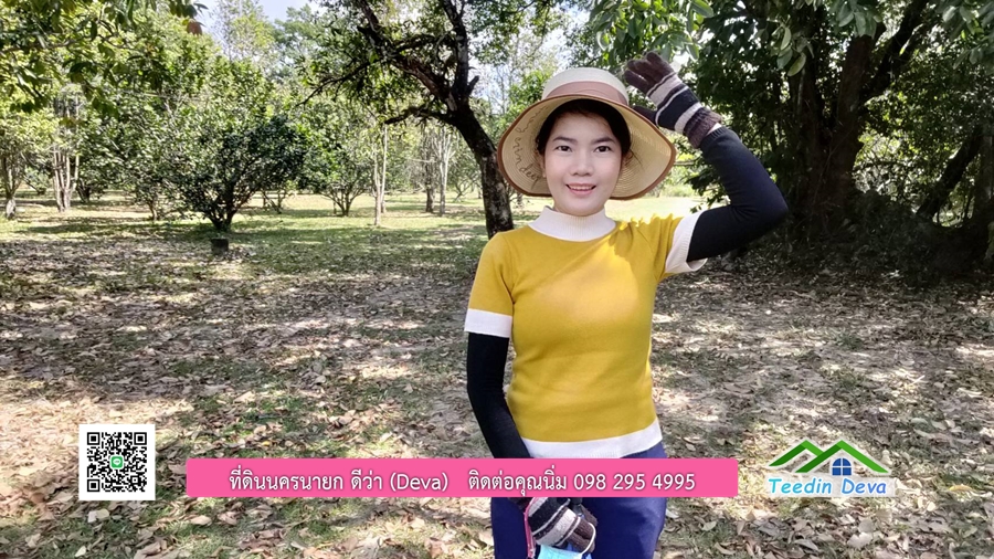 บ้านสวนผลไม้ ใกล้กับแหล่งท่องเที่ยว เจ้าของปลูกมะยงชิด ส้มโอ ต้นกฤษณา 20 ไร่ อยู่ติดถนนสายท่องเที่ยว สาริกา-นางรอง ต.สาริกา อ.เมือง จ.นครนายก