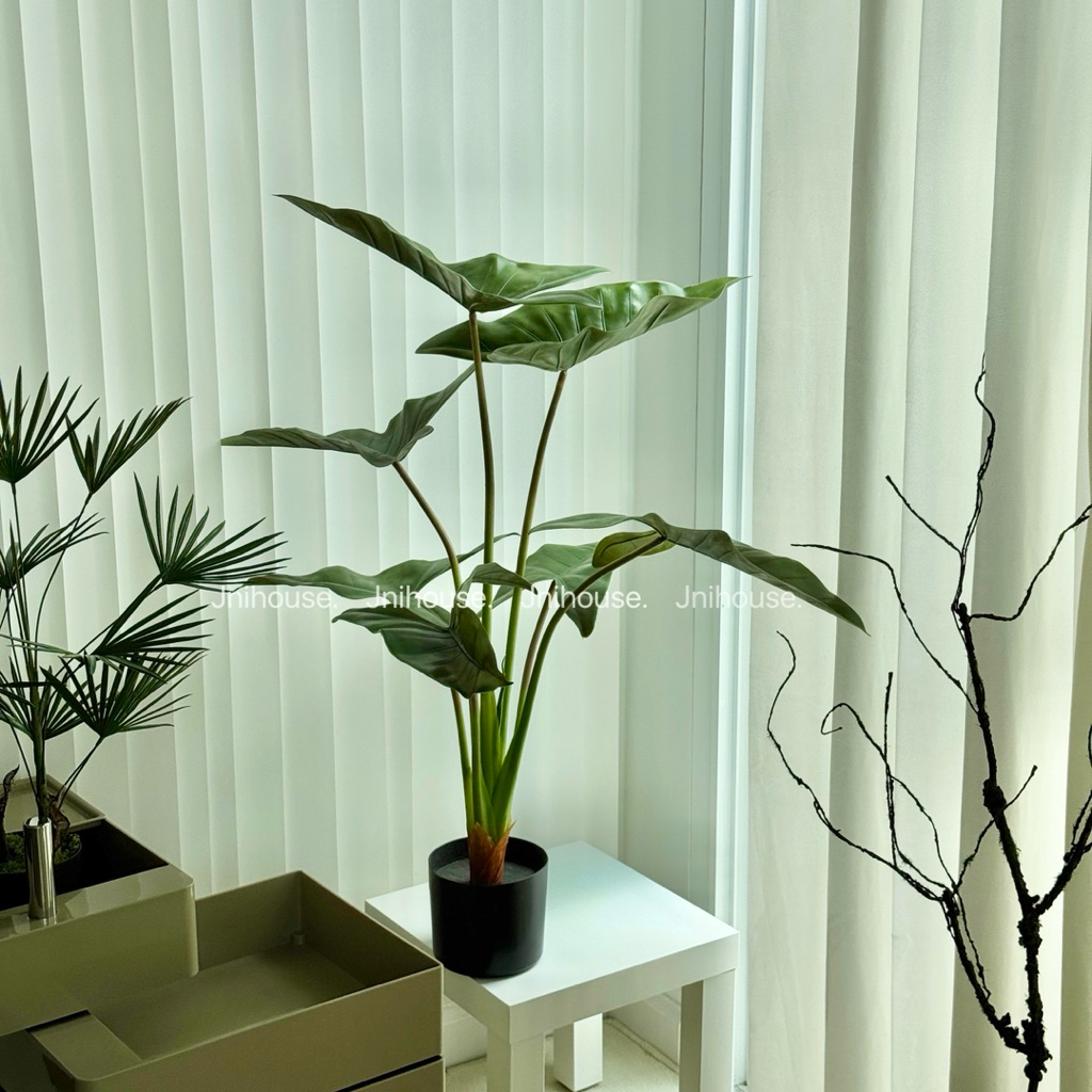[พร้อมส่ง] Jnihouse : ต้นฟิโลเดนดรอน (ต้นไม้ประดิษฐ์)(Tree)