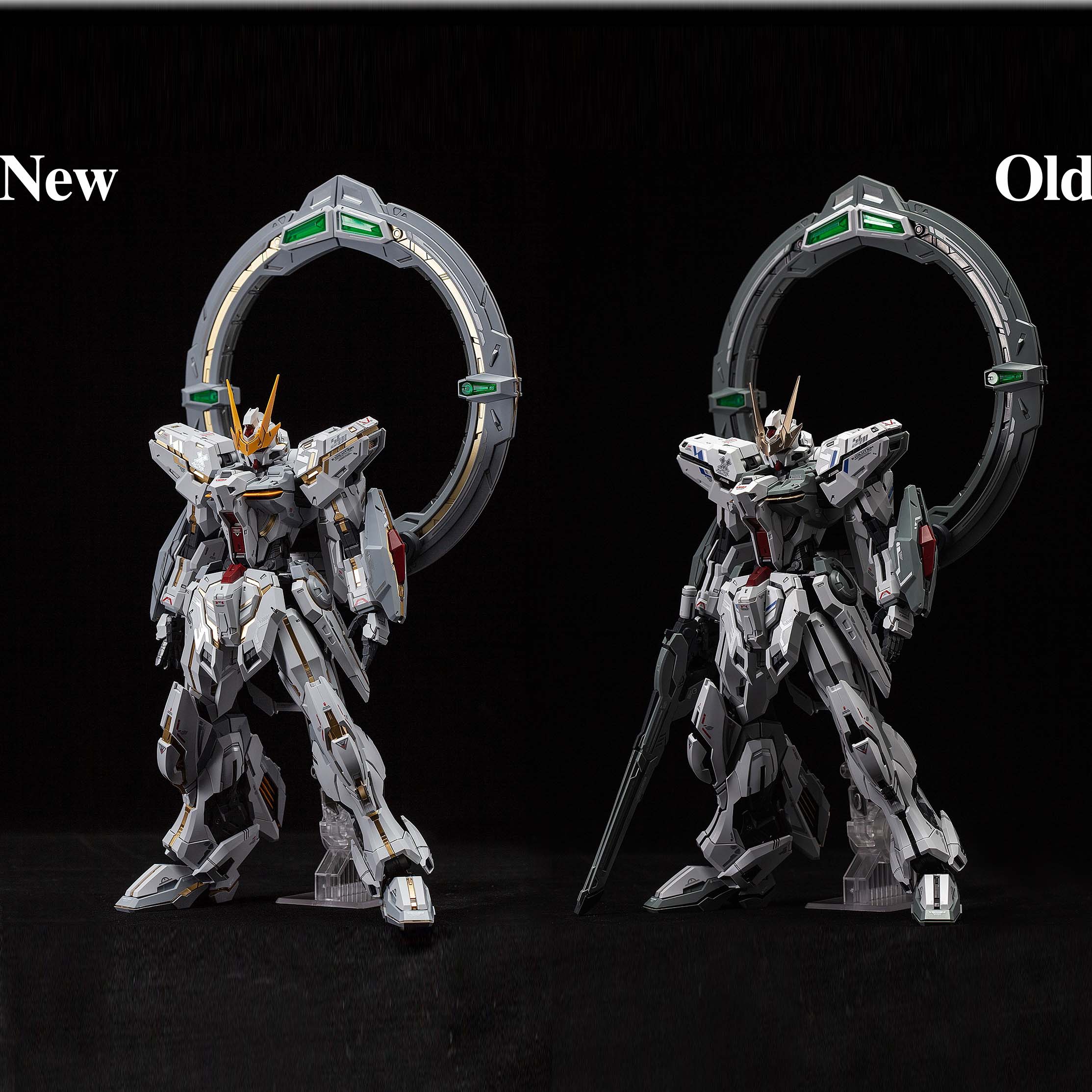 (MG) 1/100 ETERNAL STAR GLORY STARGAZER