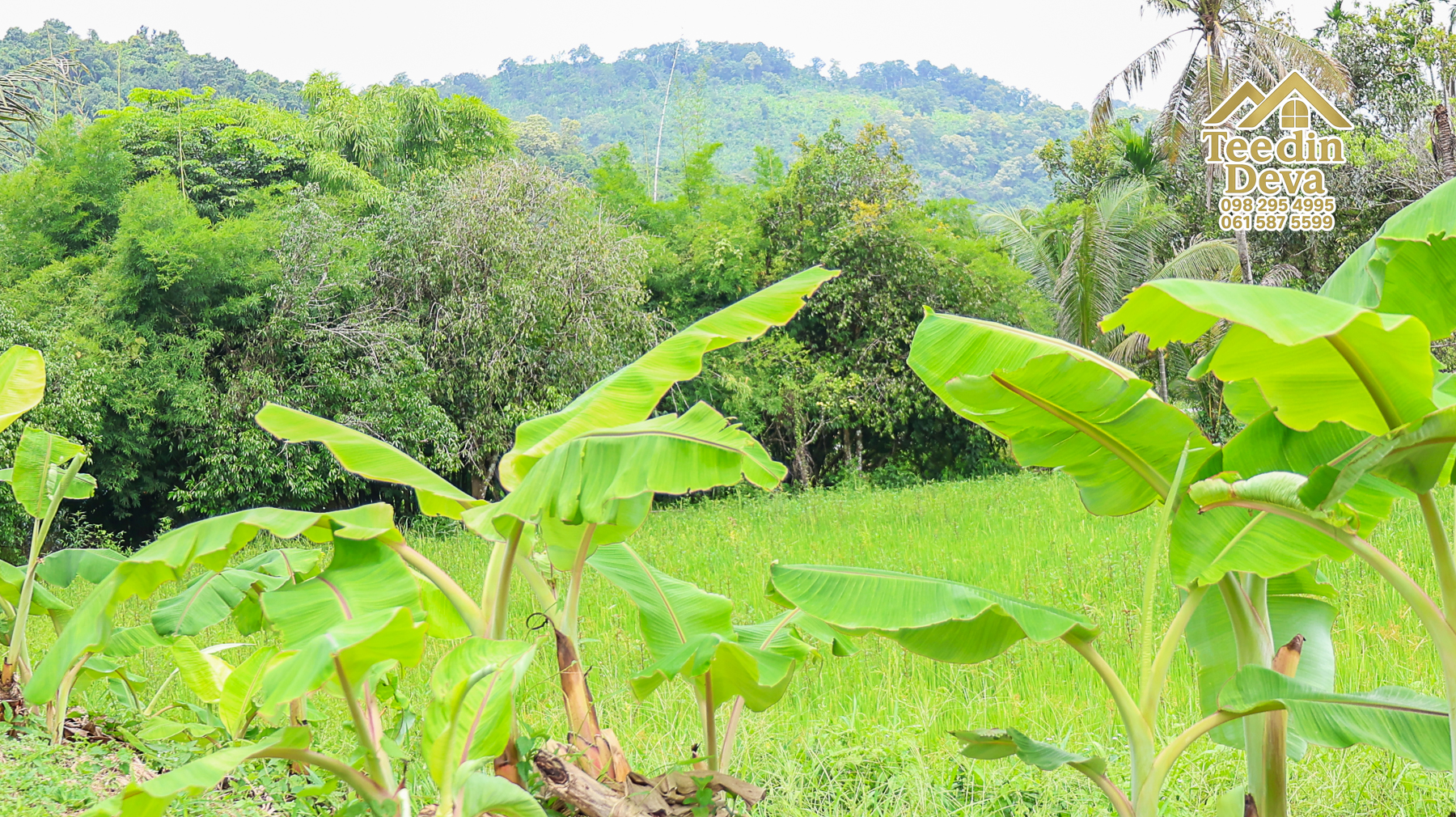 🏡 บ้านพร้อมที่ดินวิวภูเขา 1 ไร่ 3 งาน 45 ตรว. – ต.เขาพระ อ.เมือง จ.นครนายก 🌿
