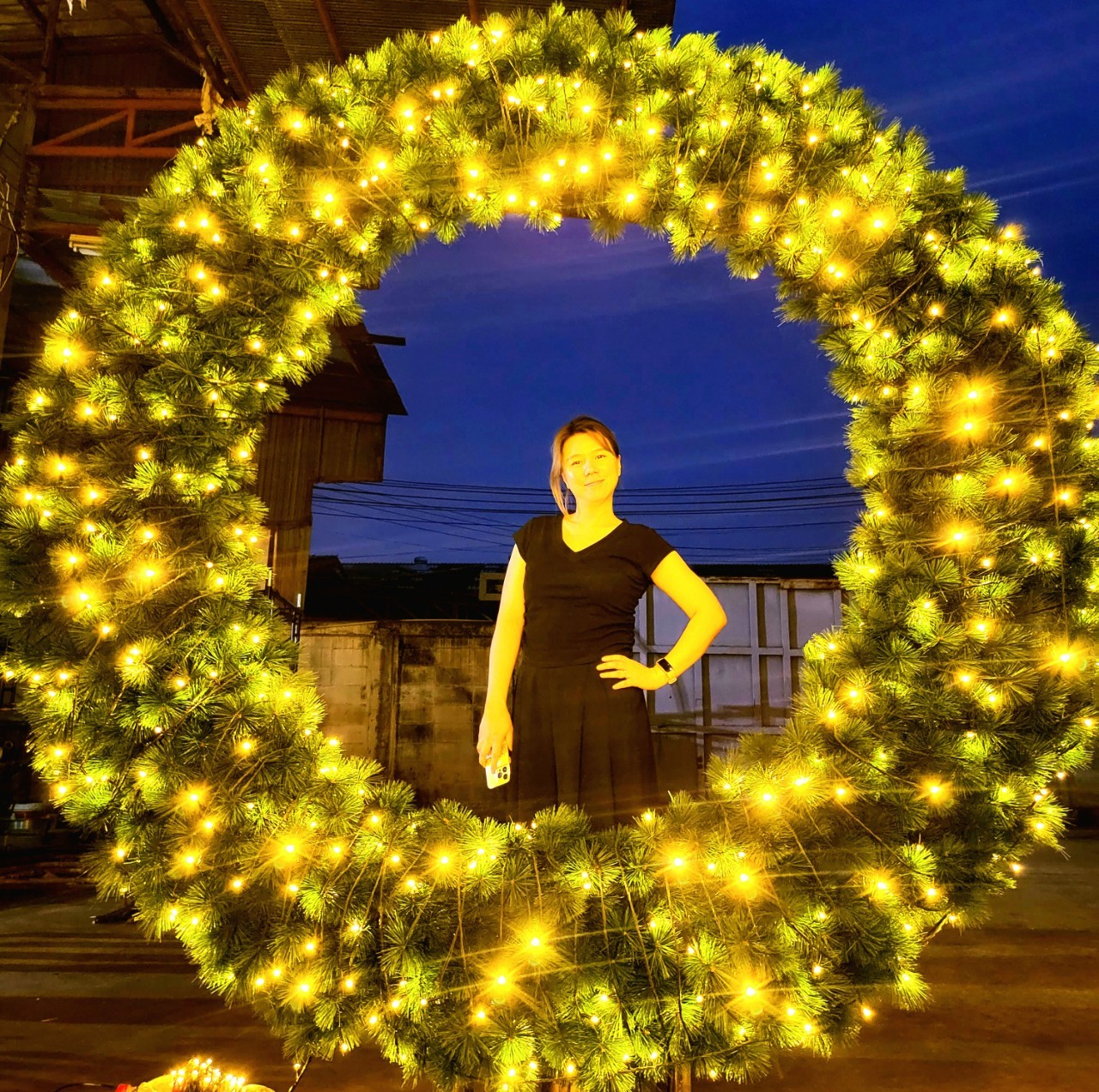 ให้เช่าซุ้มอุโมงค์ไฟประดับ "งานเลี้ยงคริสต์มาส"