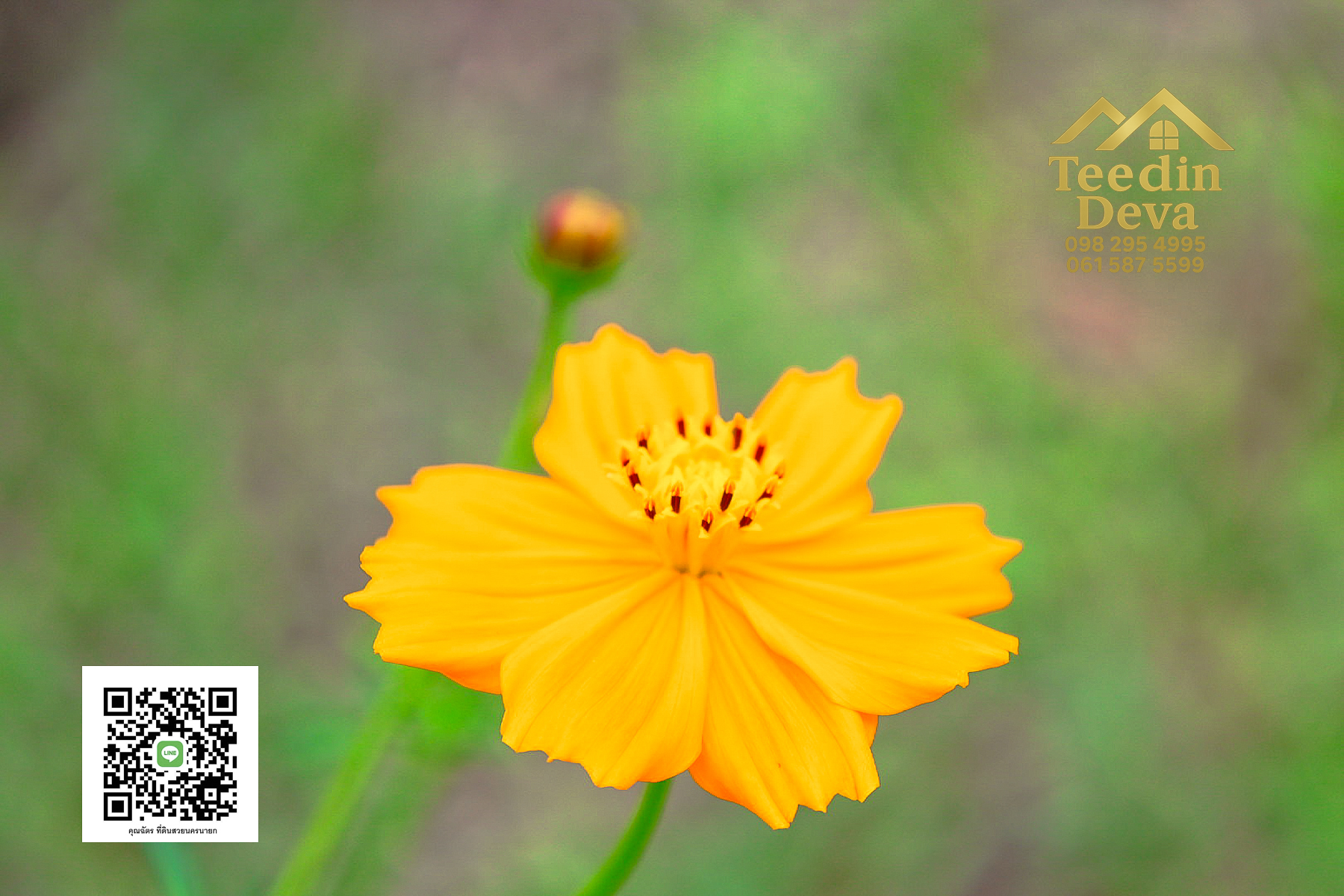 ที่ดินนครนายก วิวภูเขา ติดลำธาร ใกล้เขาใหญ่ ขนาด 1 ไร่ ทำเลดี ต.นาหินลาด อ.ปากพลี จ.นครนายก