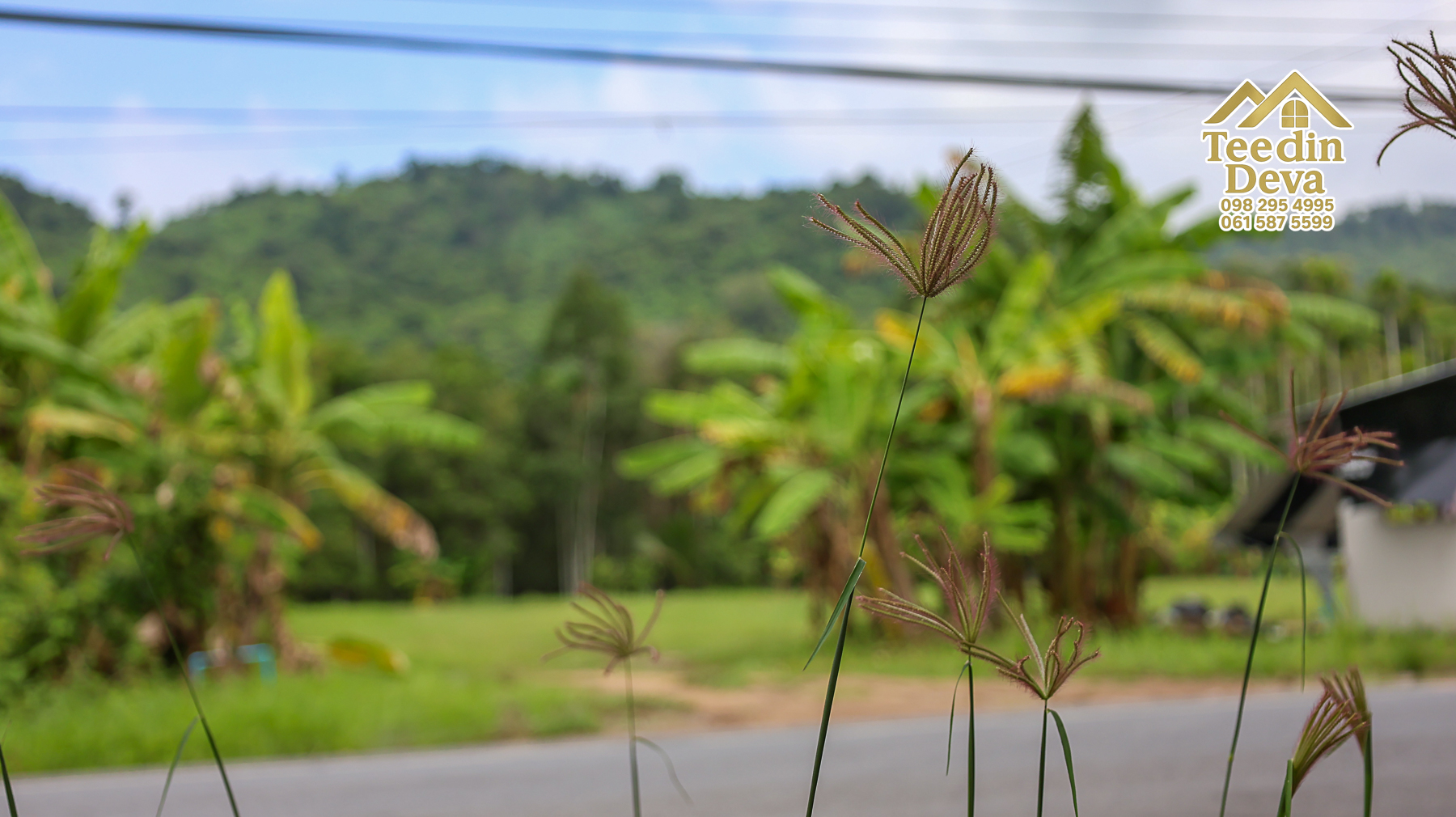 🏡 บ้านพร้อมที่ดินวิวภูเขา 1 ไร่ 3 งาน 45 ตรว. – ต.เขาพระ อ.เมือง จ.นครนายก 🌿