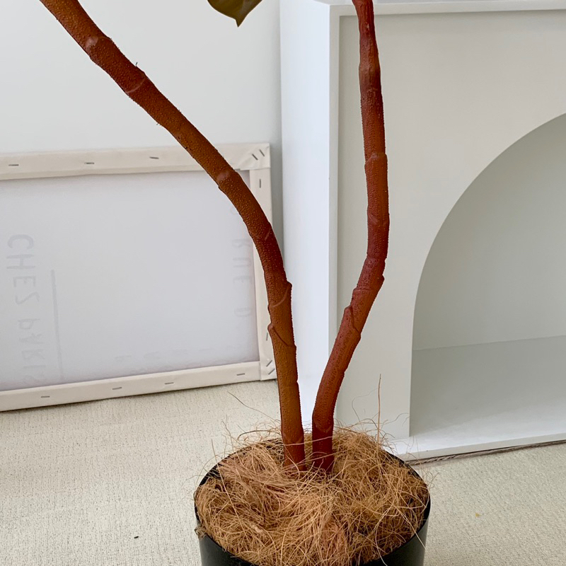 [พร้อมส่ง] Jnihouse : ต้นยางอินเดียประดิษฐ์ (Rubber Plant)(Tree)