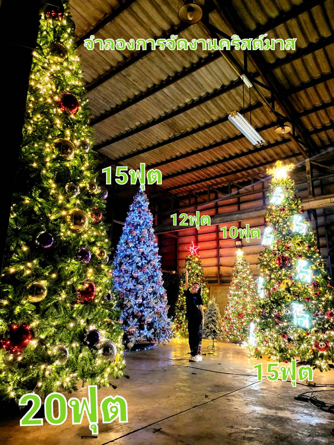 รวมต้นคริสต์มาสปลอมทุกไซซ์สำหรับการเช่าตกแต่งงานเลี้ยงวันคริสต์มาสยอดนิยม