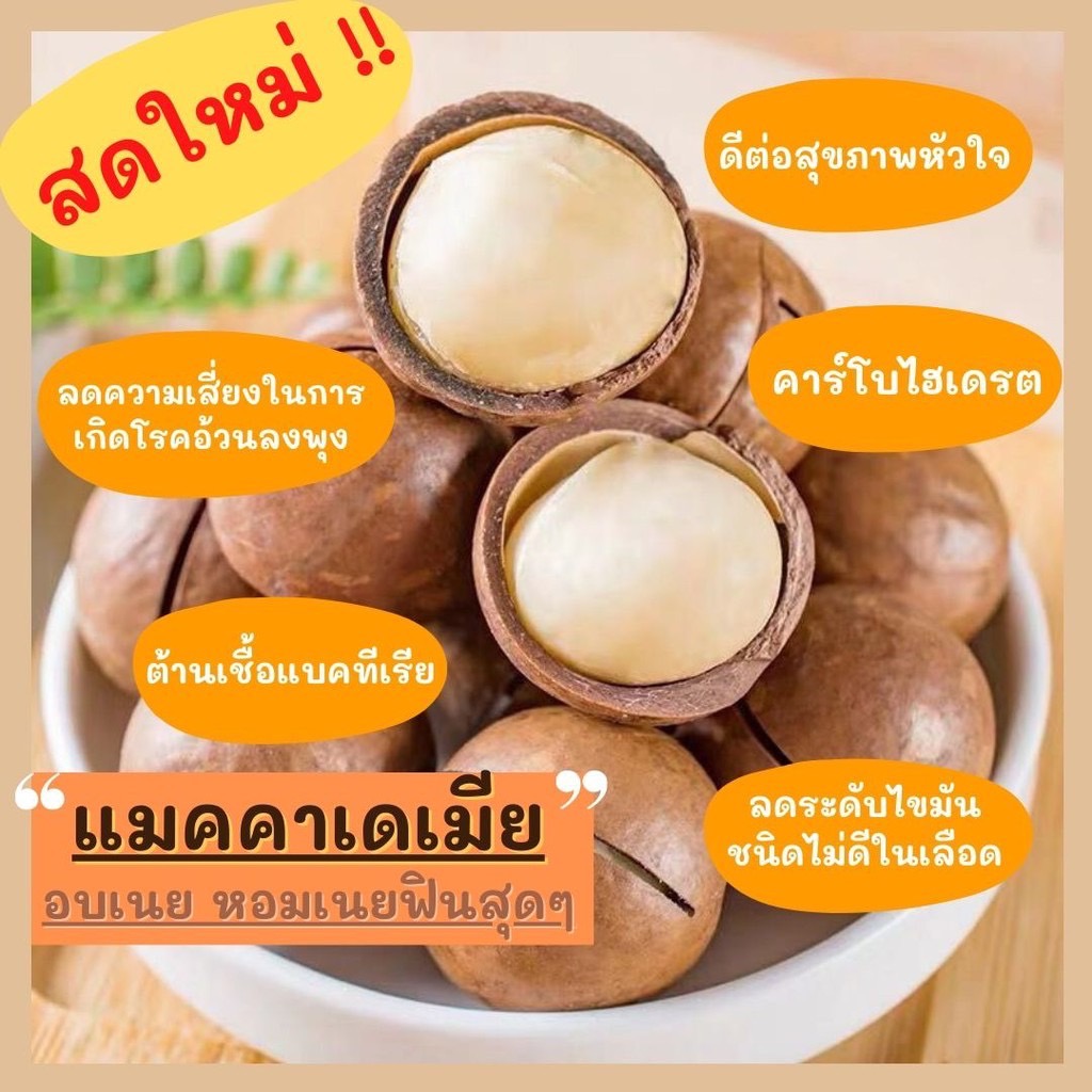 🌱 ถั่วแมคคาเดเมีย ขนาด 5กิโลกรัม ราคาส่ง นำไปจำหน่ายต่อ แบบมีเปลือก แถมที่แกะให้ อบพร้อมทาน อาหารทานเล่น อาหารว่าง 🌱