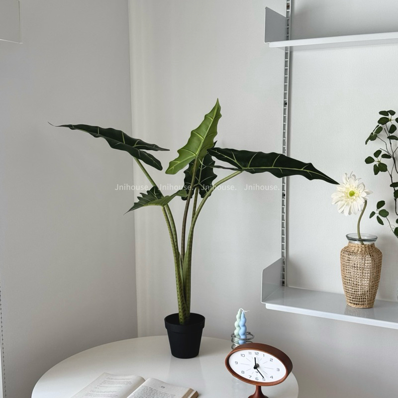 [พร้อมส่ง] Jnihouse : ต้นไม้ประดิษฐ์อโลคาเซีย หูช้าง (Artificial Alocasia Sarian Potted)(Tree)