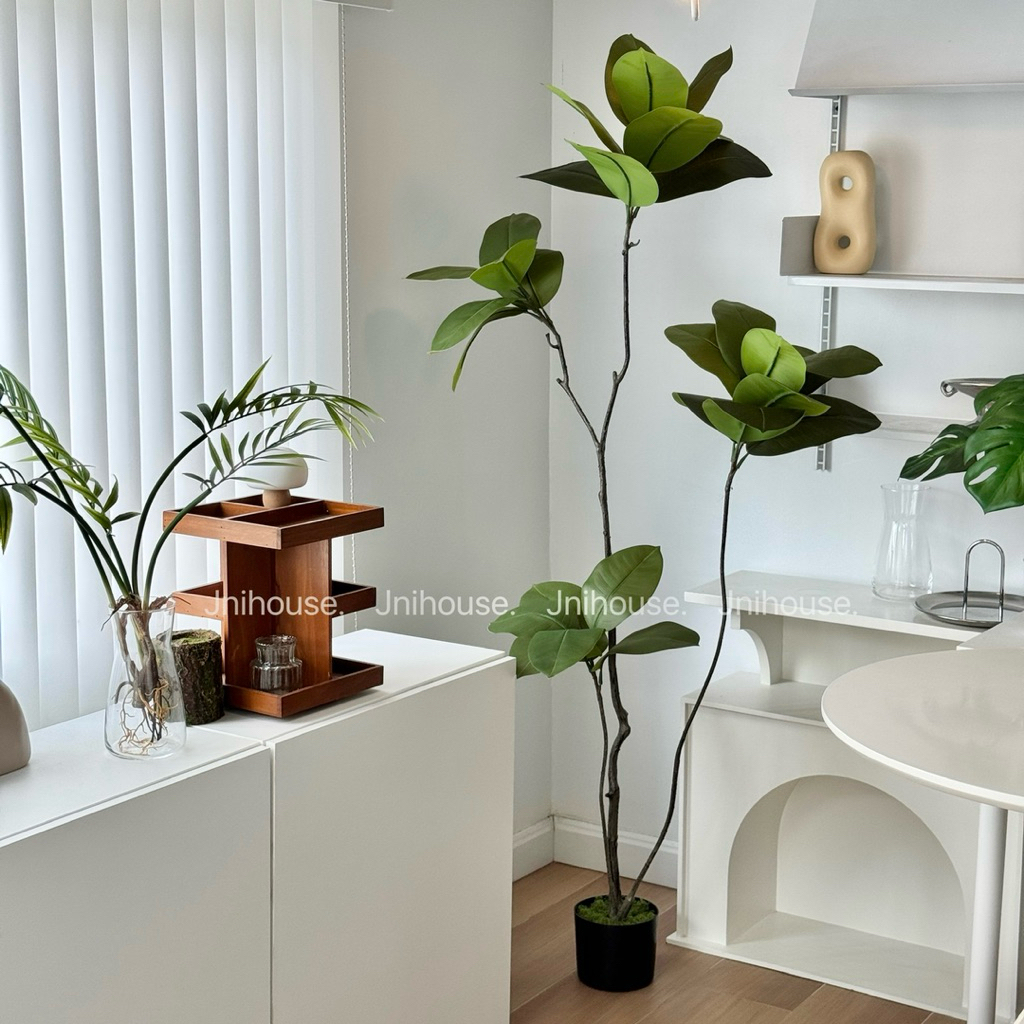 [พร้อมส่ง] Jnihouse : ต้นยางอินเดียประดิษฐ์ ขนาดสูง 160 cm (Tree)
