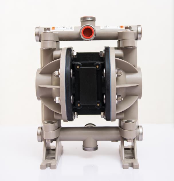 BQG050PTTTG Diaphragm pump 1/2"