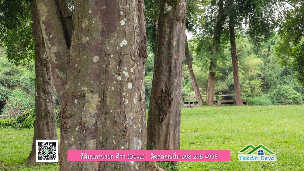 ที่ดินนครนายก ติดแม่น้ำ 14 ไร่ พื้นที่ติดแม่น้ำ 400 เมตร ชมลำธารสวยๆ บรรยากาศสบายๆ ต.สาริกา อ.เมือง จ.นครนายก