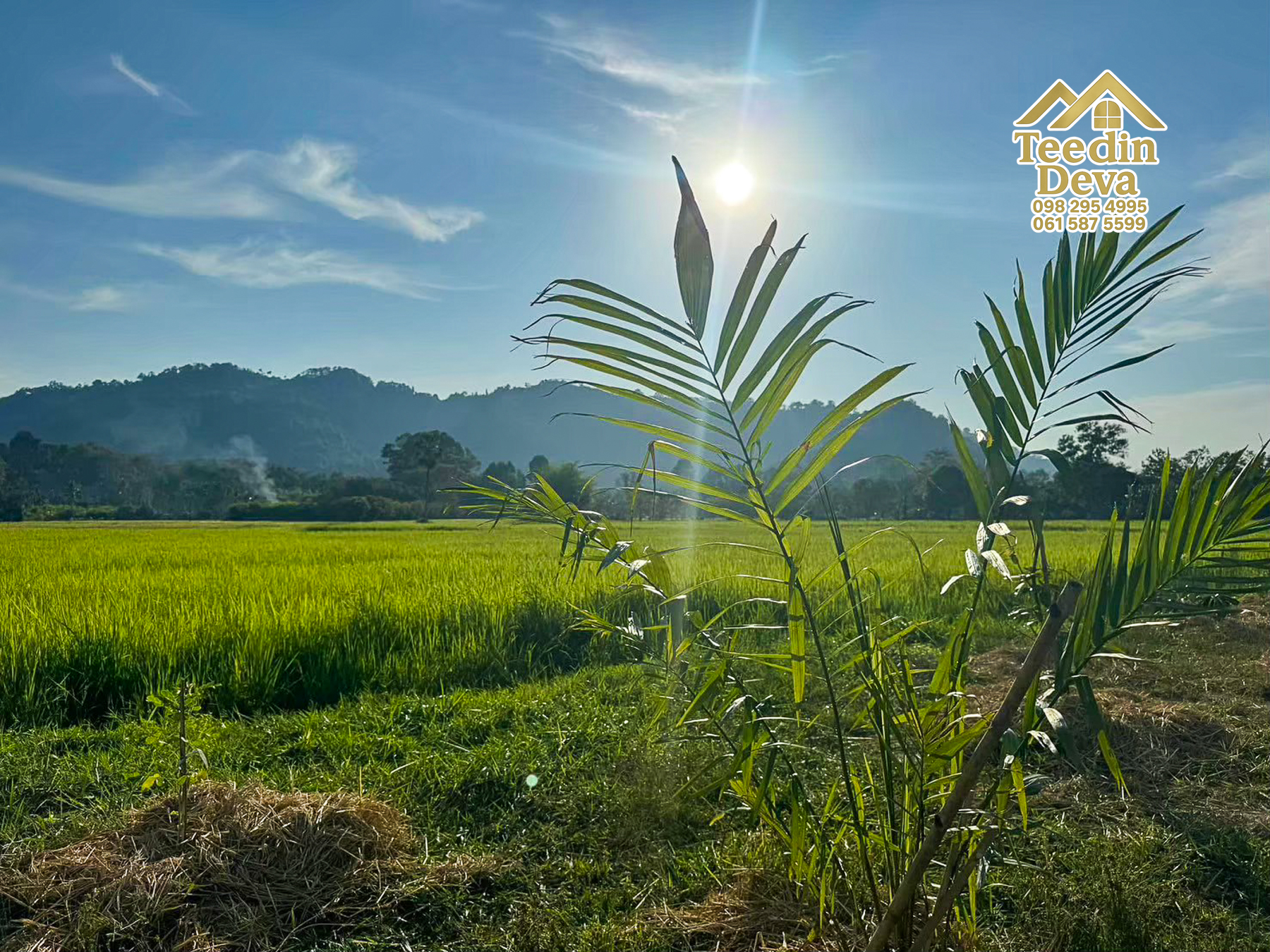 🏞️ ที่ดินวิวภูเขา จุดเริ่มต้นของบ้านในฝัน เนื้อที่ 300 ตารางวา ต.เขาพระ อ.เมือง จ.นครนายก