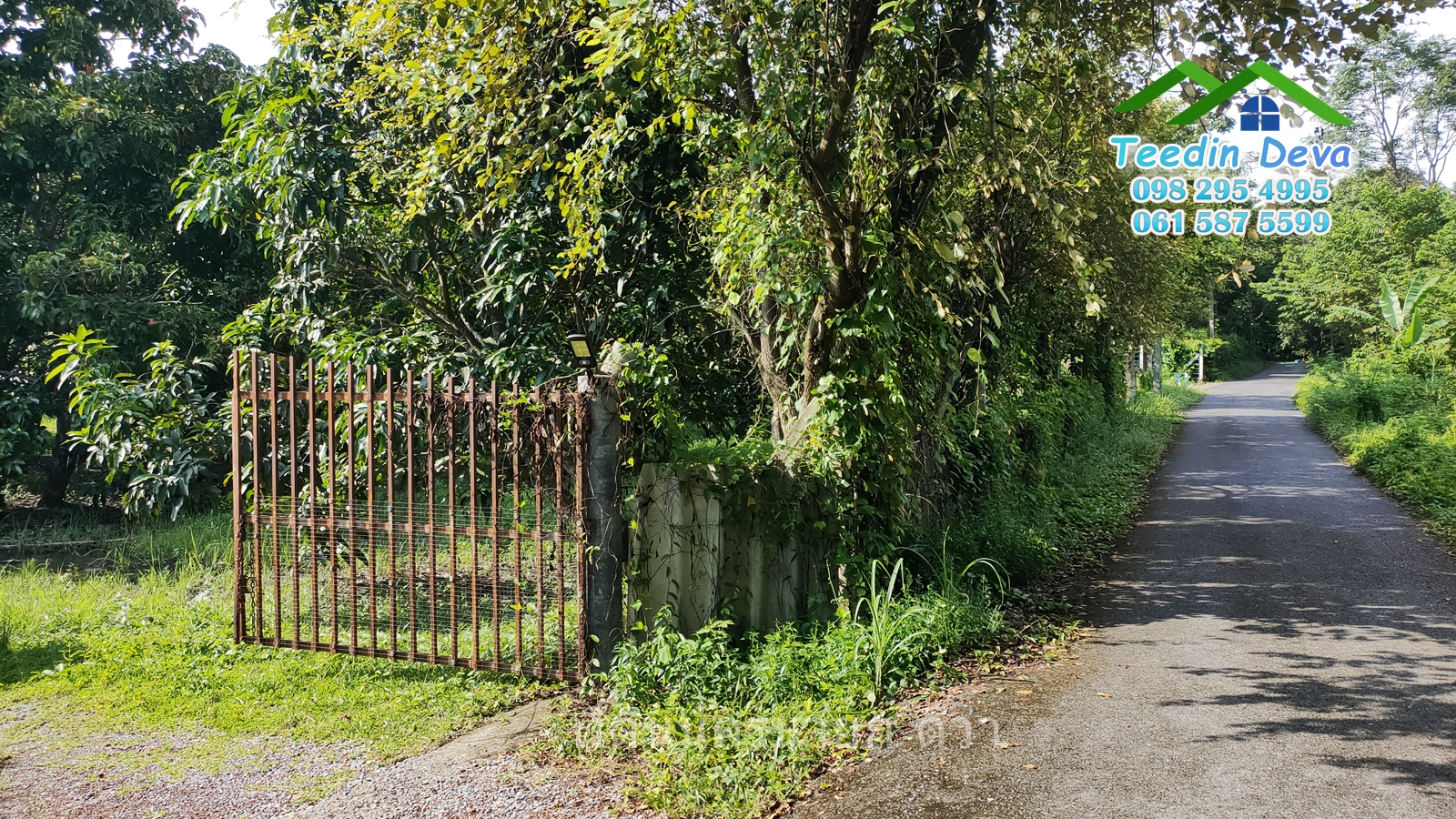 🌳🍊 ที่ดินนครนายก สวนผลไม้ เนื้อที่ 2 ไร่ ในทำเลติดกับภูเขา วิวสวยงาม ผลไม้เก็บผลผลิตได้แล้ว