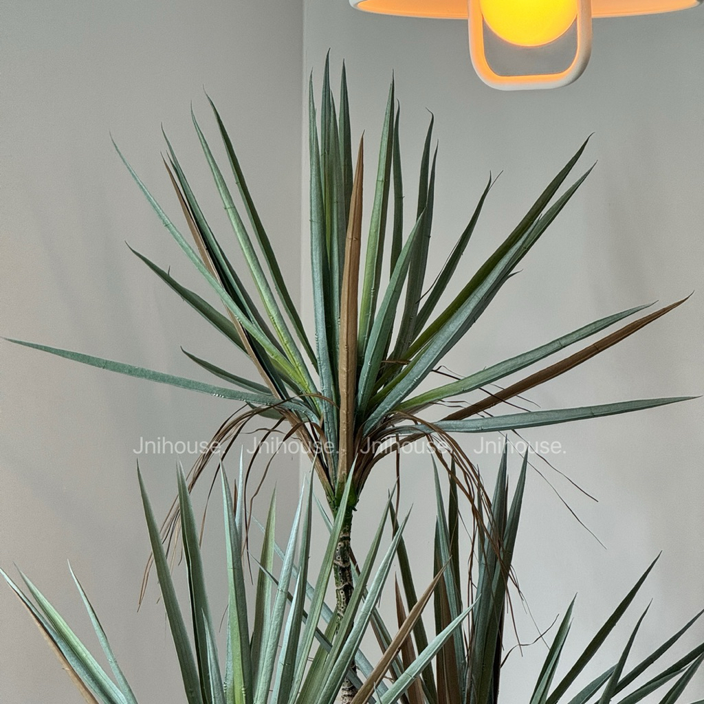 [พร้อมส่ง] Jnihouse : Dragon Tree ต้นไม้ประดิษฐ์ ขนาดสูง 130 cm (Tree)