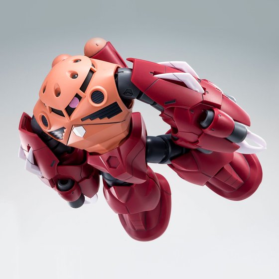 (HG) 1/144 Amazing Z'Gok (Premium Bandai)
