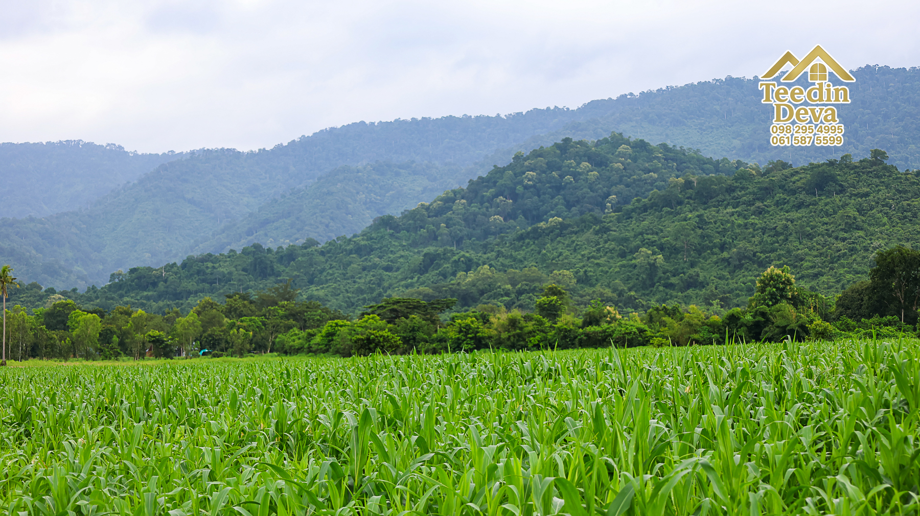 🌿 “ที่ดินในฝัน...ริมสายน้ำ ใต้เงาภูเขา” 2 ไร่ 3 งาน 84 ตรว. ต.เขาพระ อ.เมือง จ.นครนายก 🏞️
