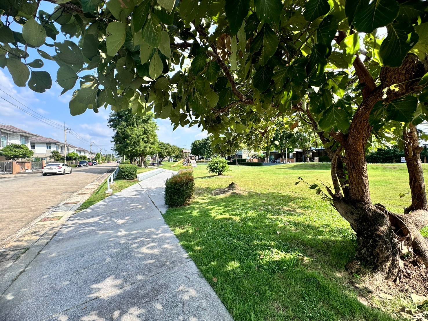 ขาย เช่า บ้านเดี่ยวหมู่บ้านเดอะแพลนท์รังสิต-คลอง3 หลังมุม เช่า 20,000 บาท อ.คลองหลวง ปทุมธานี ( N.1460 )