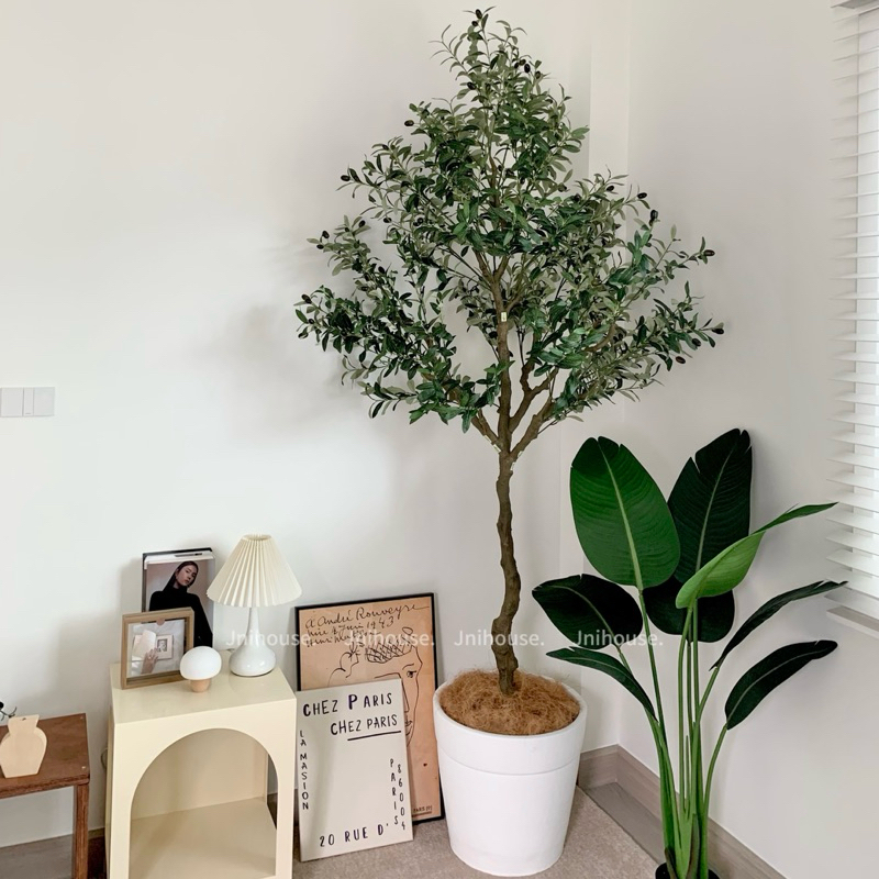 [พร้อมส่ง] Jnihouse : ต้นมะกอกประดิษฐ์สูง 210 cm (Artificial Olive tree)