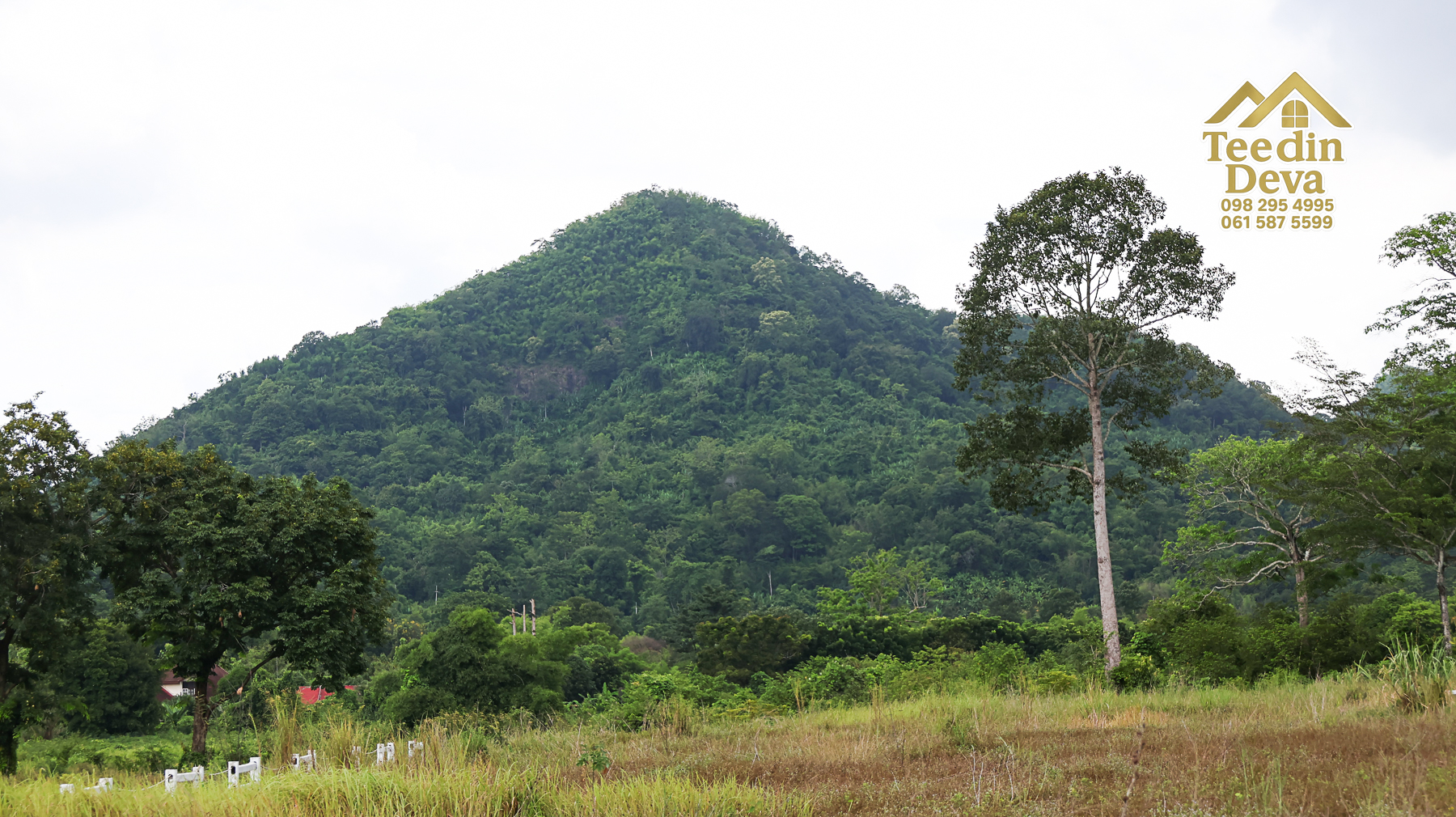🌿 “ที่ดินในฝัน...ริมสายน้ำ ใต้เงาภูเขา” 2 ไร่ 3 งาน 84 ตรว. ต.เขาพระ อ.เมือง จ.นครนายก 🏞️