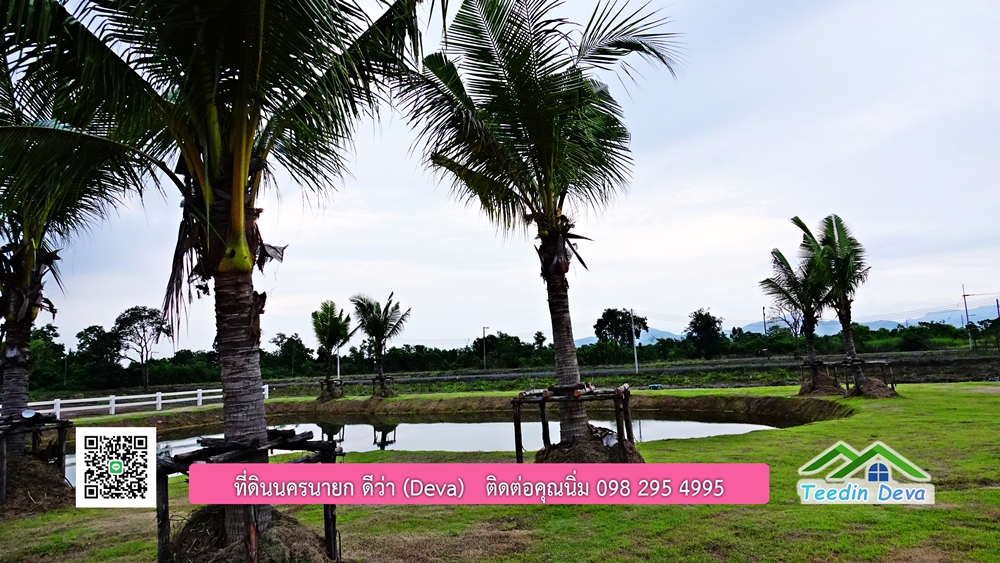 ที่ดินนครนายก โครงการ mountain 6