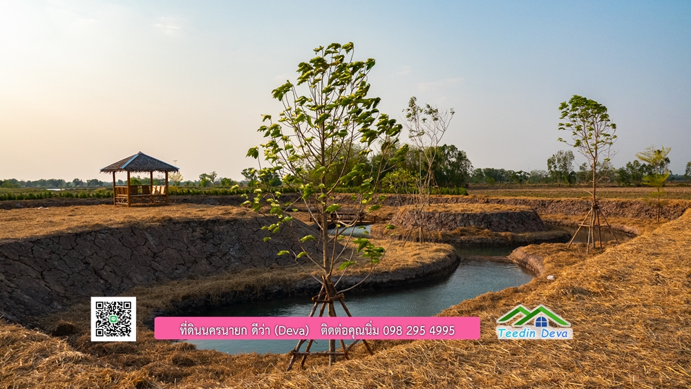 🌿 ที่ดินสวยๆ ขนาด 2 ไร่ พร้อมน้ำไฟ ดินดี น้ำดี อากาศดี มีเพื่อนบ้าน ณ ต.ปากพลี อ.ปากพลี จ.นครนายก