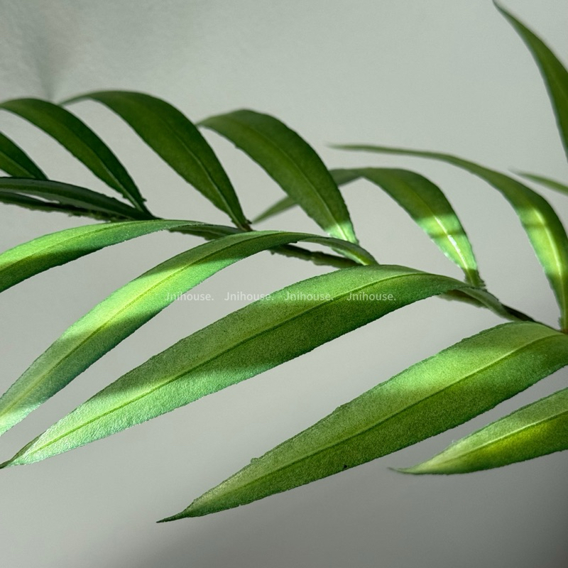 [พร้อมส่ง] Jnihouse : Parlor palm (ปาล์มไผ่) กิ่งไม้ประดิษฐ์ (Tree)